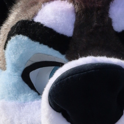 Noisy Hoosk Friend Jyno